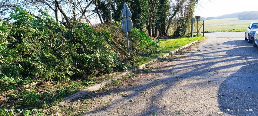 avant broyage des végétaux